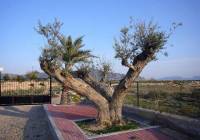 Resale - Villa - Abanilla