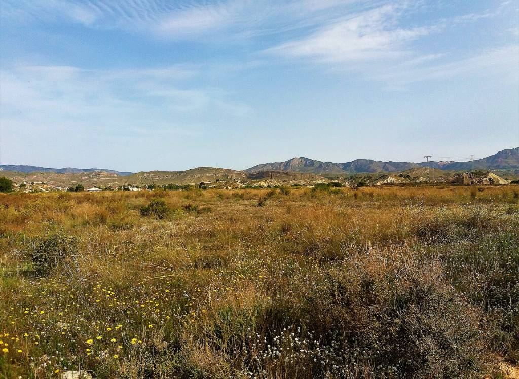 Resale - Villa - Abanilla