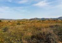 Resale - Villa - Abanilla