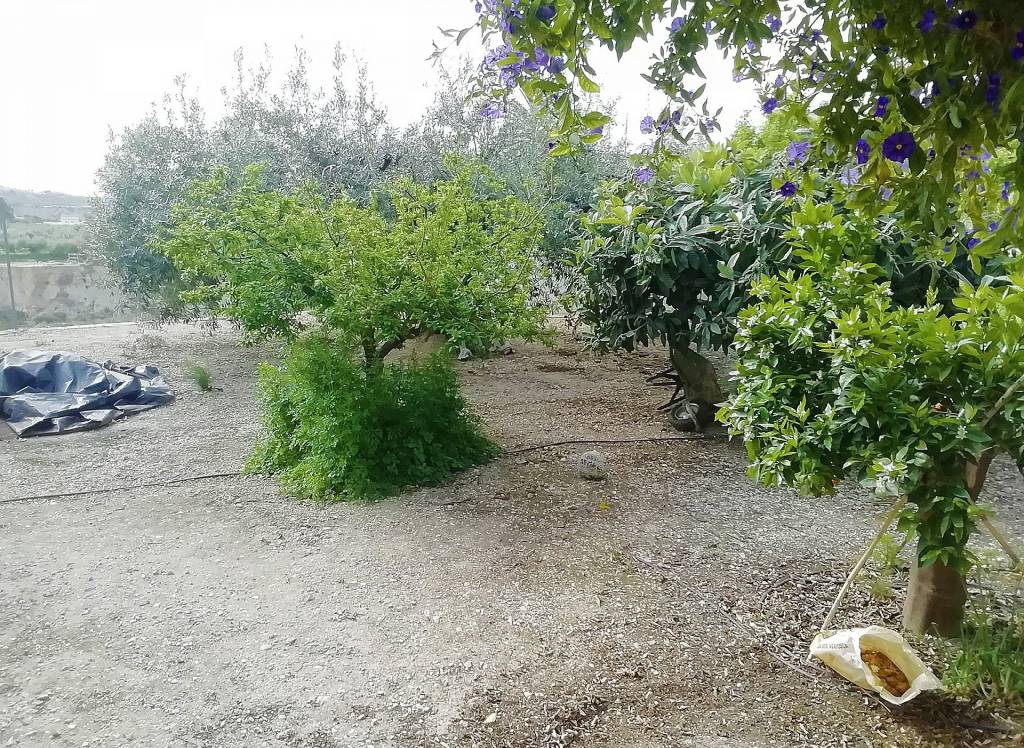 Resale - Villa - Abanilla