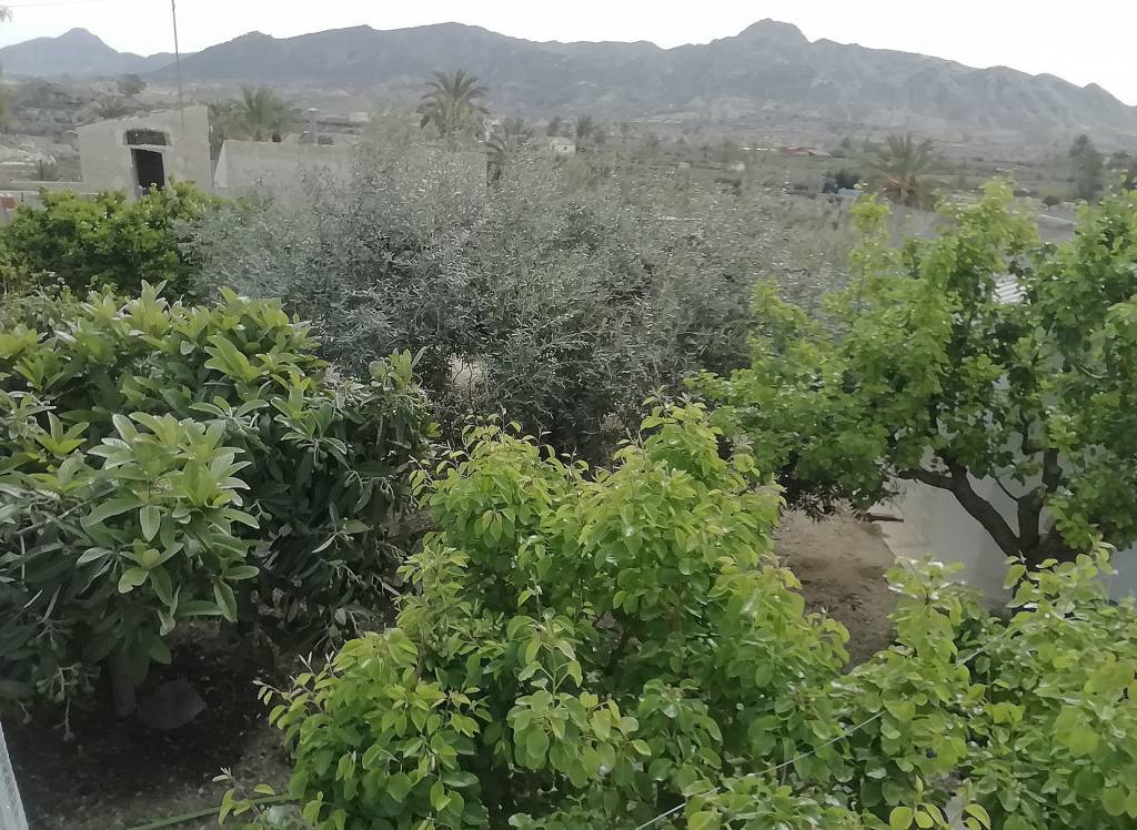 Resale - Villa - Abanilla