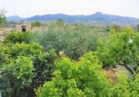 Resale - Villa - Abanilla