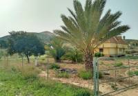 Resale - Villa - Aspe - Rural location