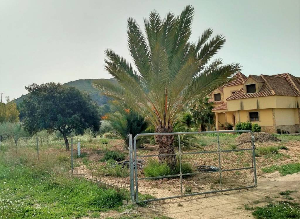 Resale - Villa - Aspe - Rural location