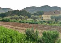 Resale - Villa - Aspe - Rural location