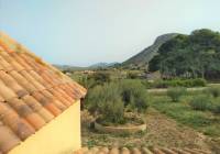 Resale - Villa - Aspe - Rural location