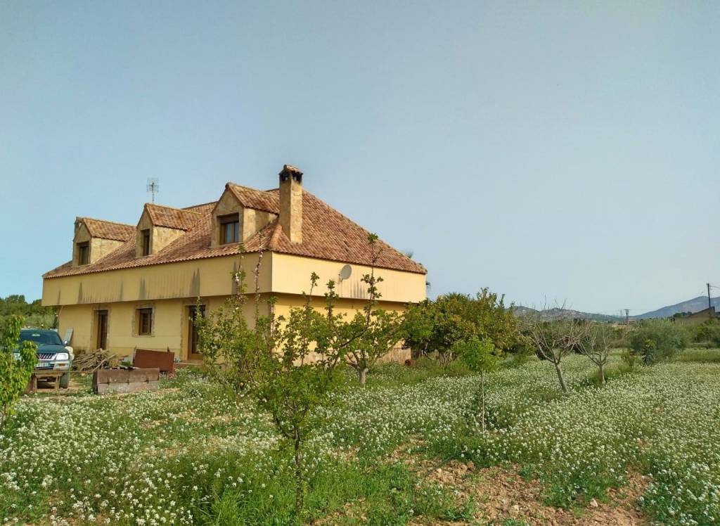 Resale - Villa - Aspe - Rural location