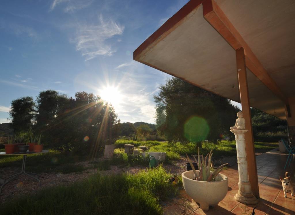 Resale - Villa - Aspe - Rural location