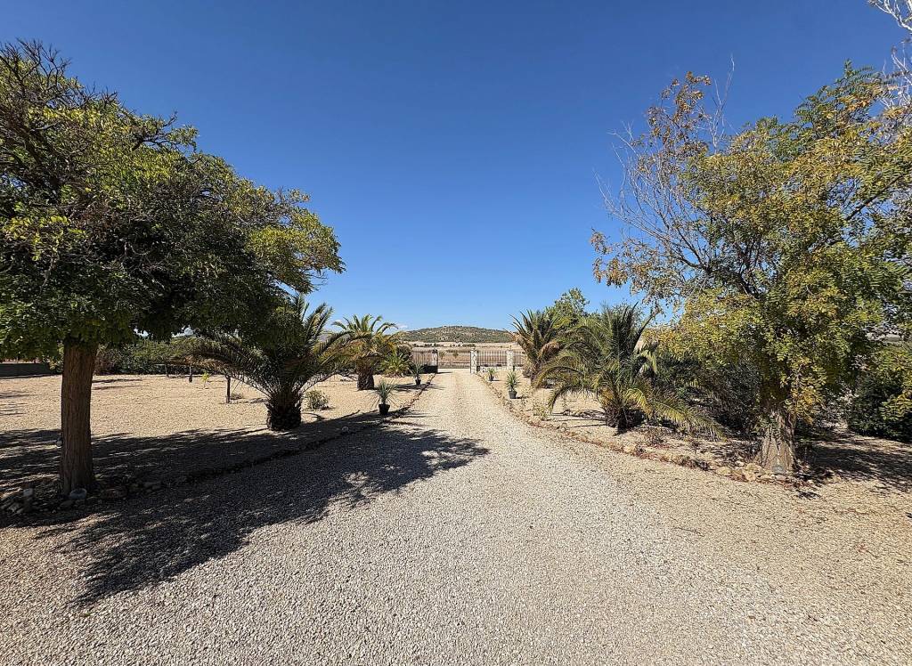 Resale - Villa - Biar