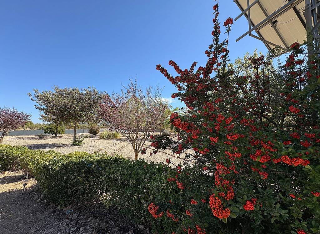 Resale - Villa - Biar