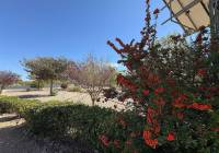 Resale - Villa - Biar