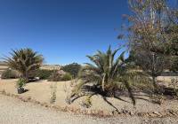 Resale - Villa - Biar