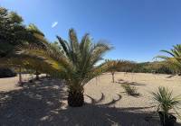 Resale - Villa - Biar