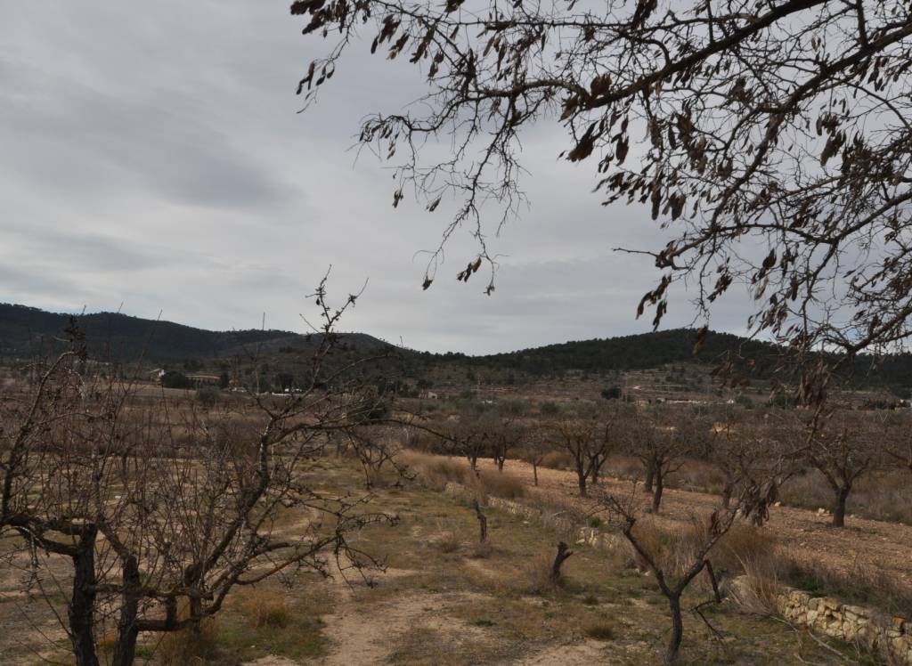 Resale - Villa - Chinorlet - Rural location