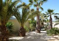 Resale - Villa - Hondón de las Nieves