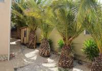 Resale - Villa - Hondón de las Nieves