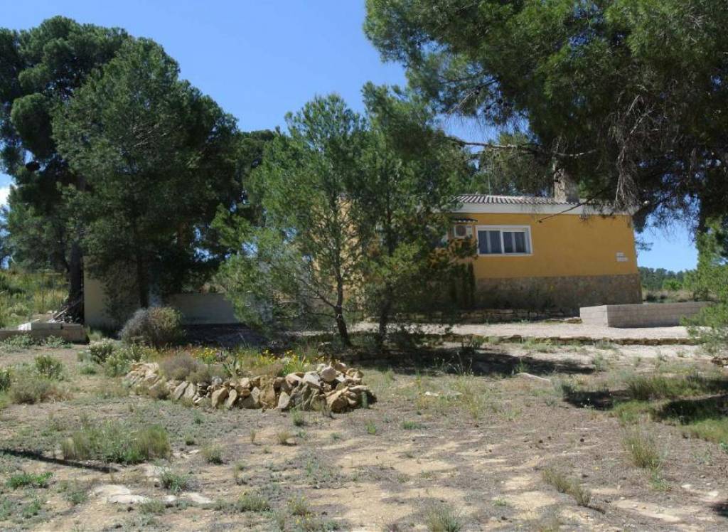 Resale - Villa - Jumilla - Rural location