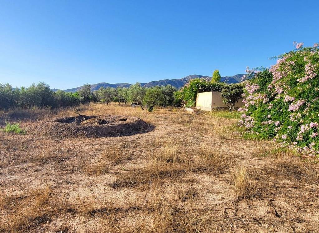 Resale - Villa - La Romana