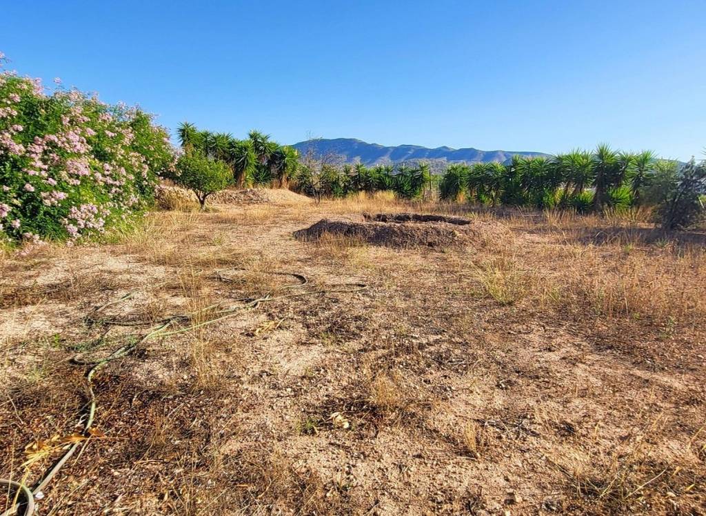 Resale - Villa - La Romana