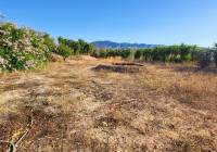 Resale - Villa - La Romana