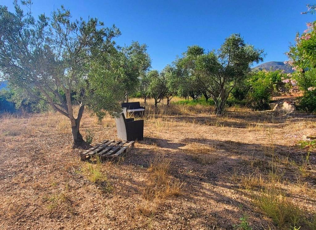 Resale - Villa - La Romana