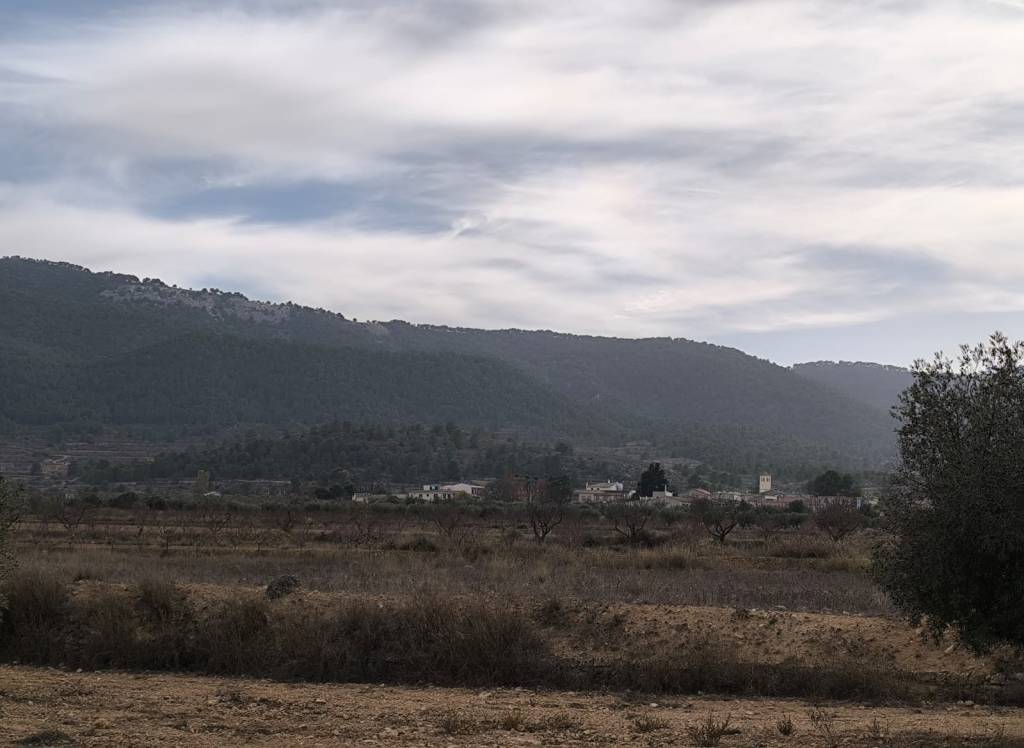 Resale - Villa - Monovar - In hamlet