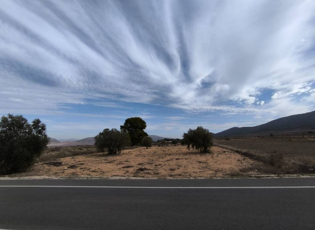 Resale - Villa - Monovar - In hamlet