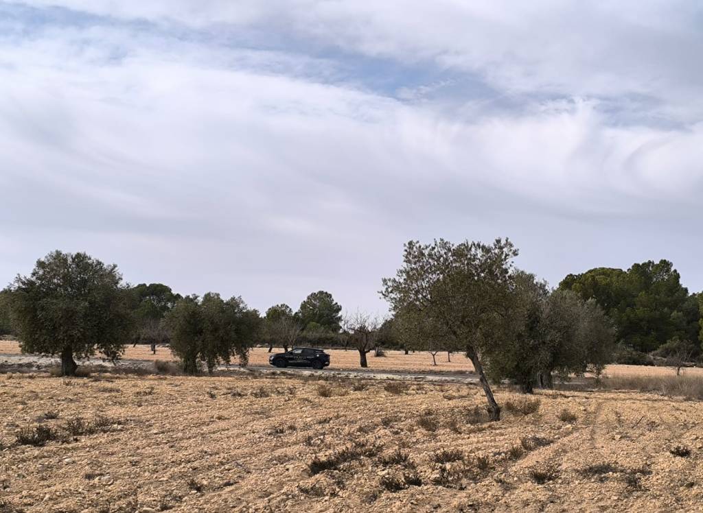 Resale - Villa - Monovar - In hamlet