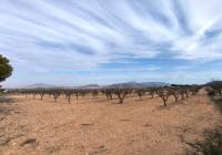 Resale - Villa - Monovar - In hamlet