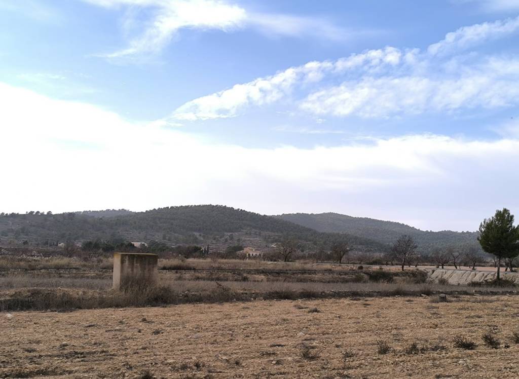 Resale - Villa - Monovar - In hamlet