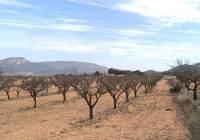 Resale - Villa - Monovar - In hamlet