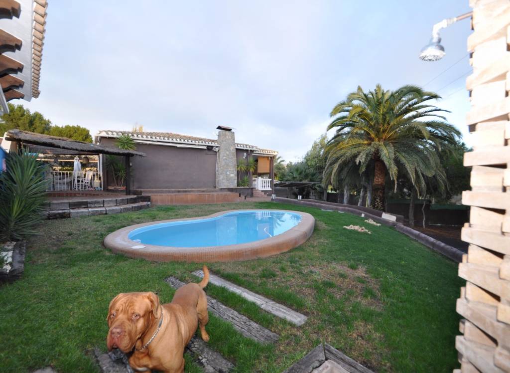 Resale - Villa - Monóvar/Monóver - Rural location