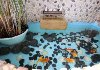 Resale - Villa - Monovar