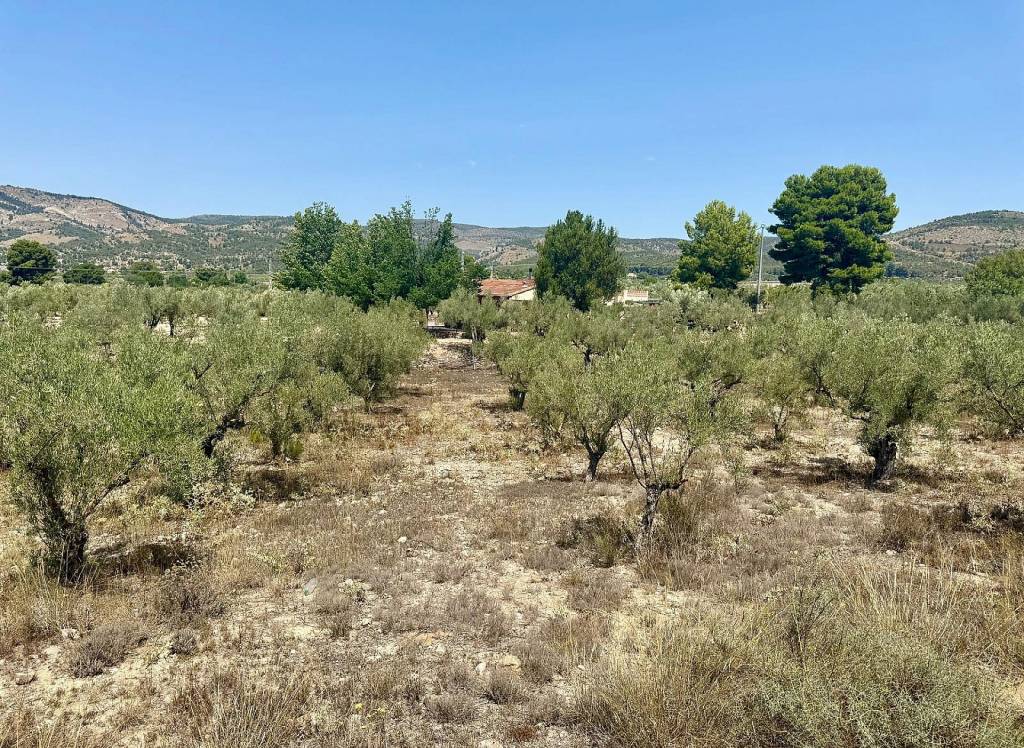 Resale - Villa - Onil