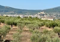 Resale - Villa - Onil