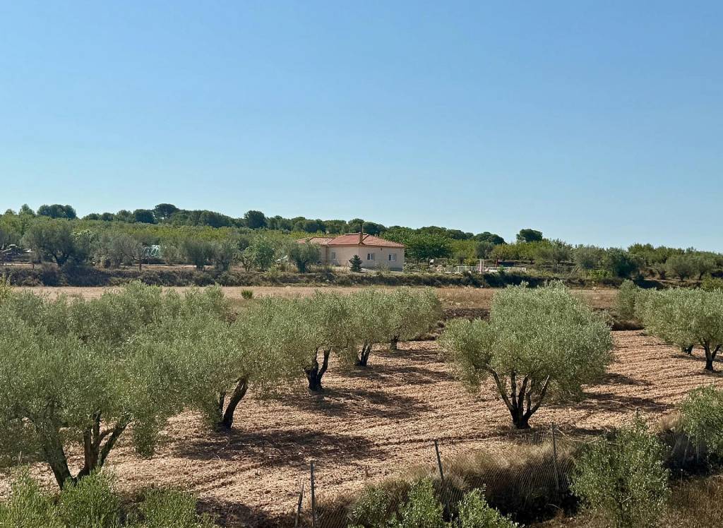 Resale - Villa - Onil