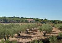 Resale - Villa - Onil