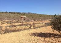 Resale - Villa - Pinoso