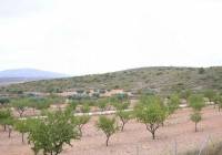 Resale - Villa - Pinoso