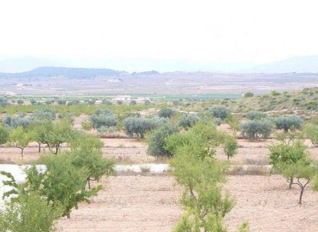 Resale - Villa - Pinoso