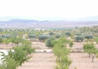 Resale - Villa - Pinoso