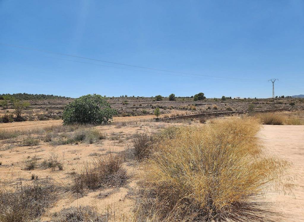 Resale - Villa - Pinoso