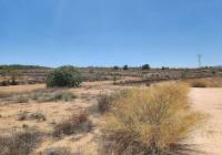 Resale - Villa - Pinoso