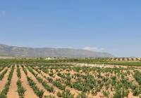 Resale - Villa - Pinoso