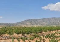 Resale - Villa - Pinoso