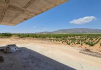 Resale - Villa - Pinoso