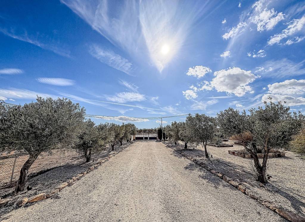 Resale - Villa - Pinoso