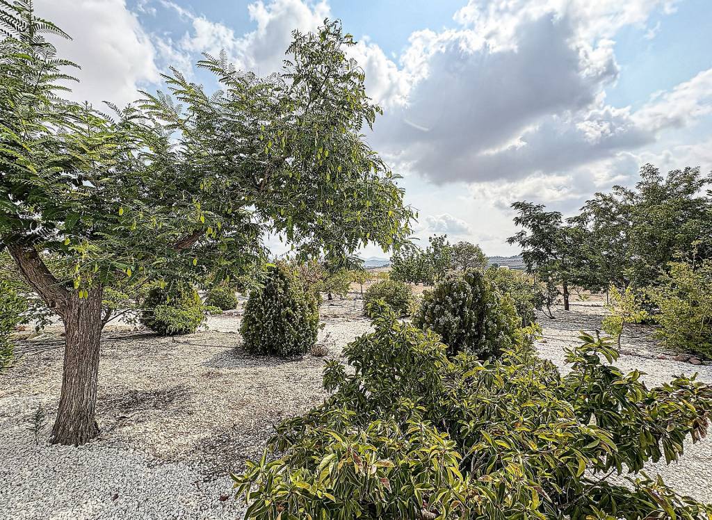 Resale - Villa - Pinoso