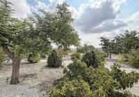 Resale - Villa - Pinoso