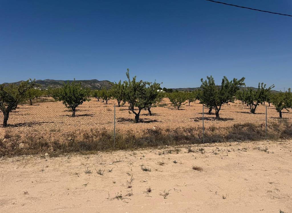 Resale - Villa - Pinoso